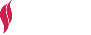 Tashidy Logo Transparent